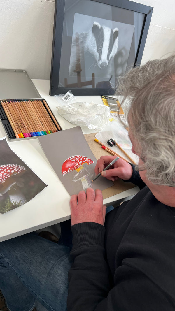 Pastel Pencil Weekend Workshop in Perth Scotland 2026 (NOT COLOURED PENCILS)
