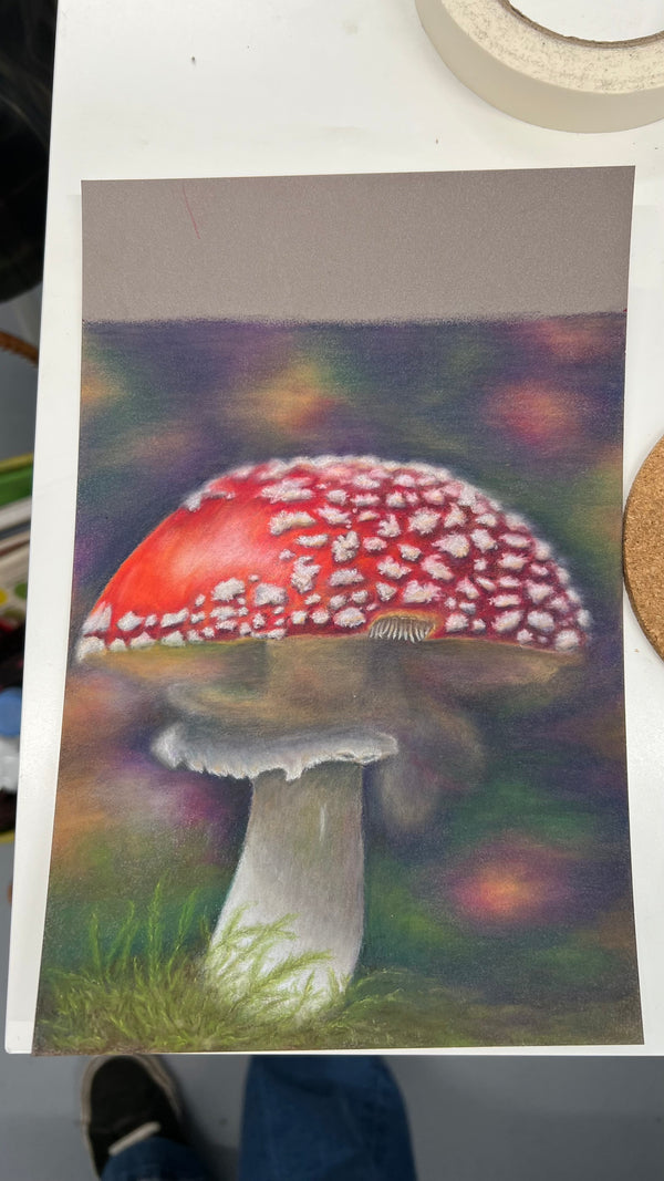 Pastel Pencil Weekend Workshop in Perth Scotland 2026 (NOT COLOURED PENCILS)