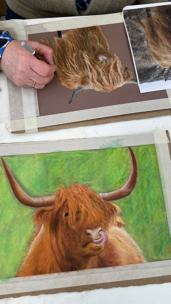 Pastel Pencil Weekend Workshop in Perth Scotland 2026 (NOT COLOURED PENCILS)