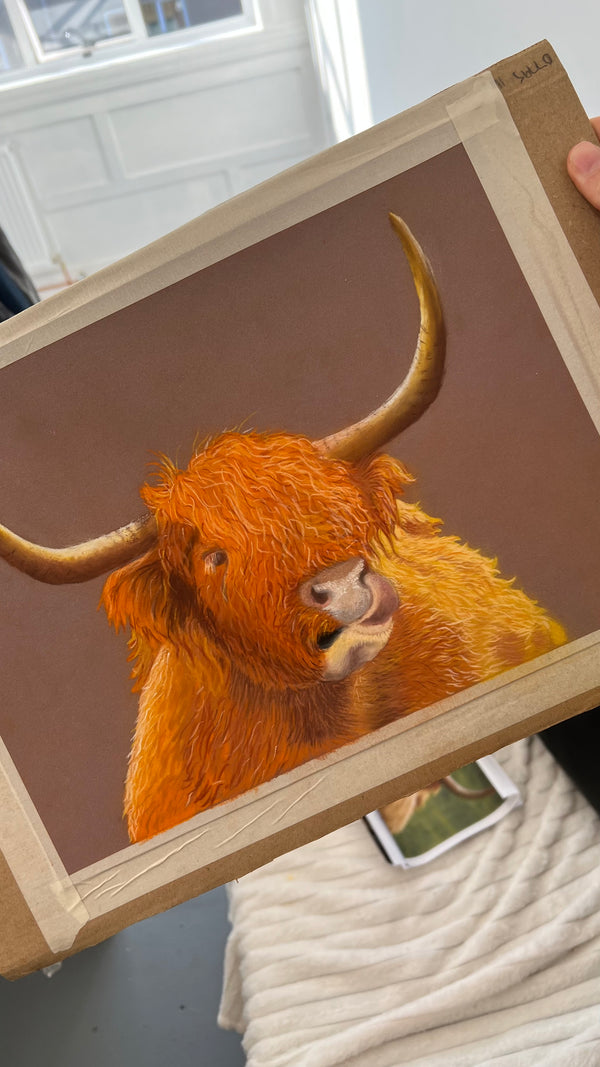 Pastel Pencil Weekend Workshop in Perth Scotland 2026 (NOT COLOURED PENCILS)