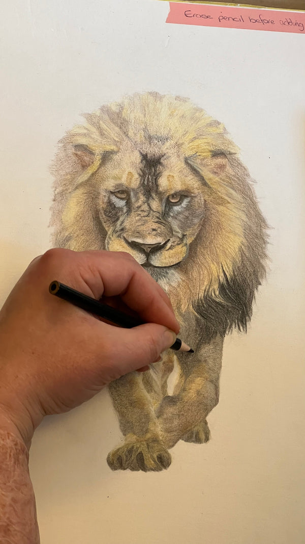 Adult Drawing and painting class for beginners Block 2025