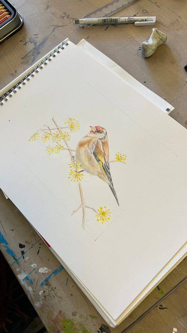 Adult Drawing and painting class for beginners Block 2025