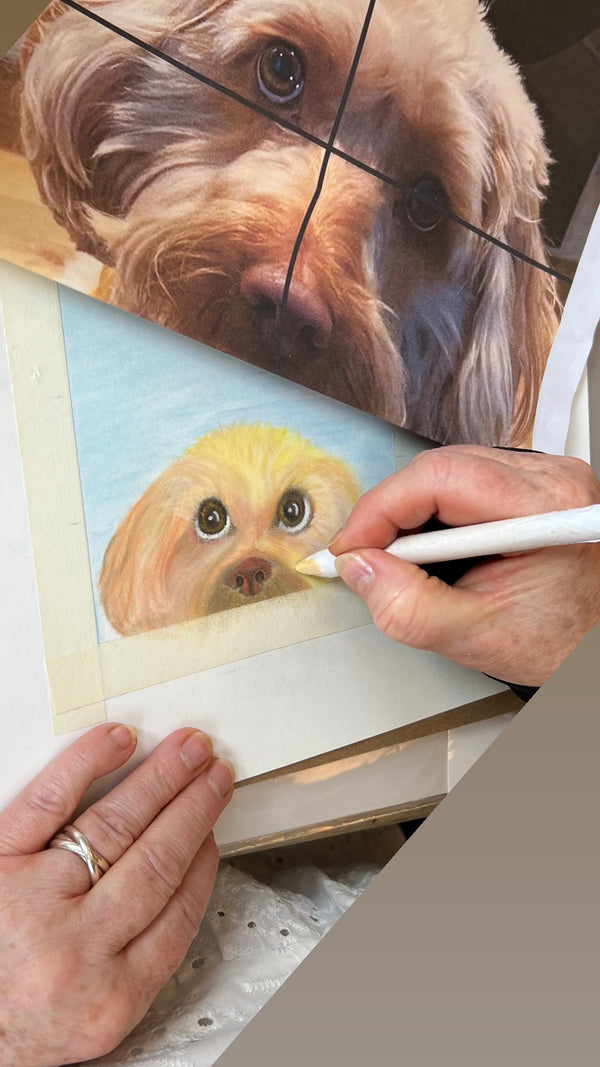 Pastel Pencil Weekend Workshop in Perth Scotland 2025 (NOT COLOURED PENCILS)