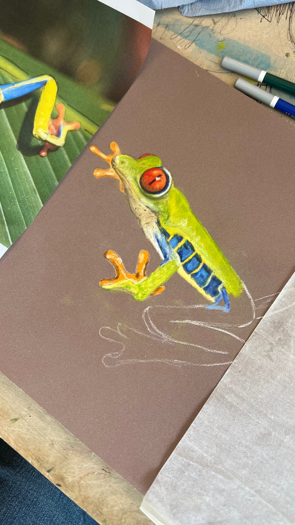 Pastel Pencil Weekend Workshop in Perth Scotland 2025 (NOT COLOURED PENCILS)